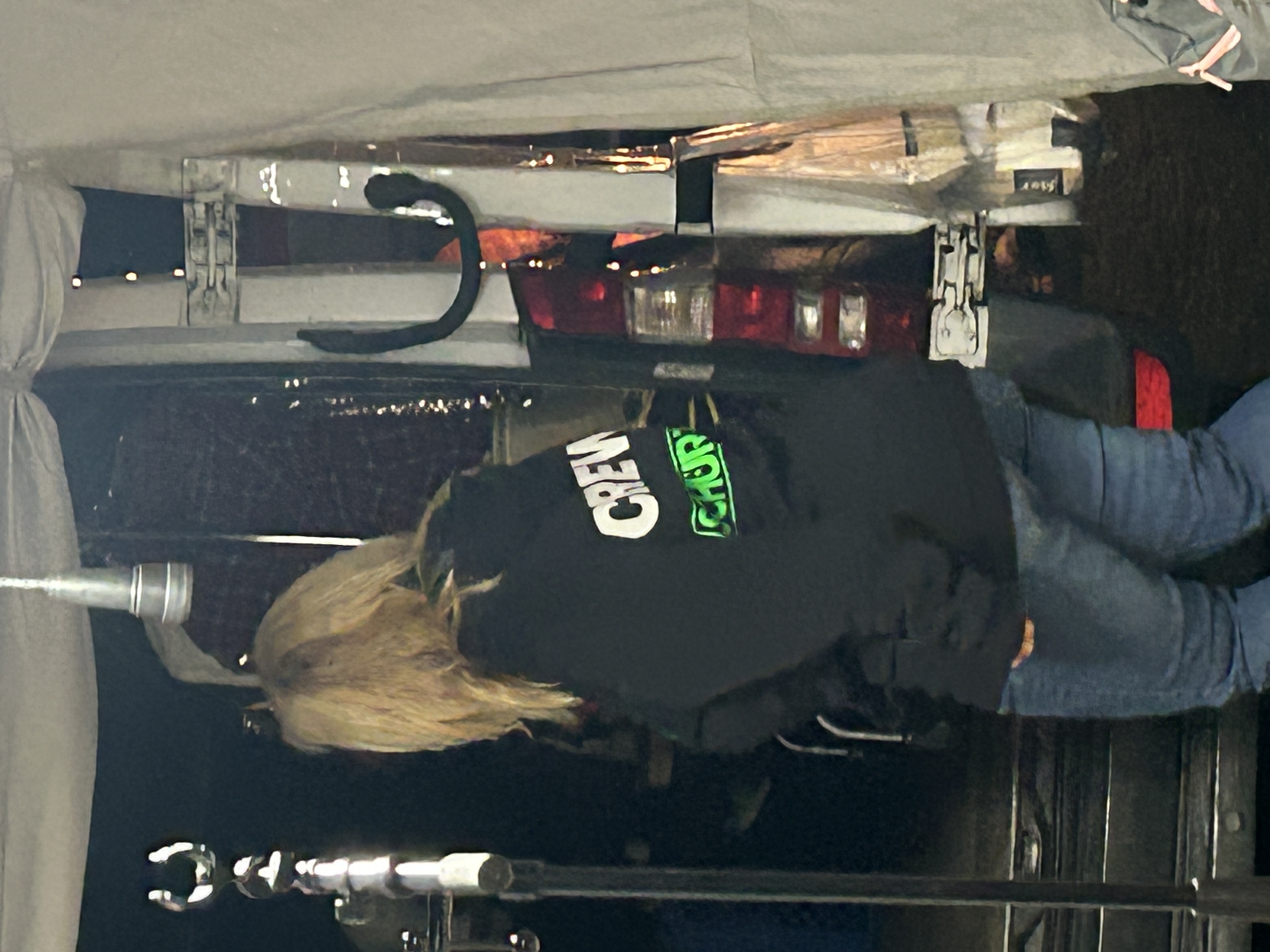 Schürze beim Brenkenhagen Open Air