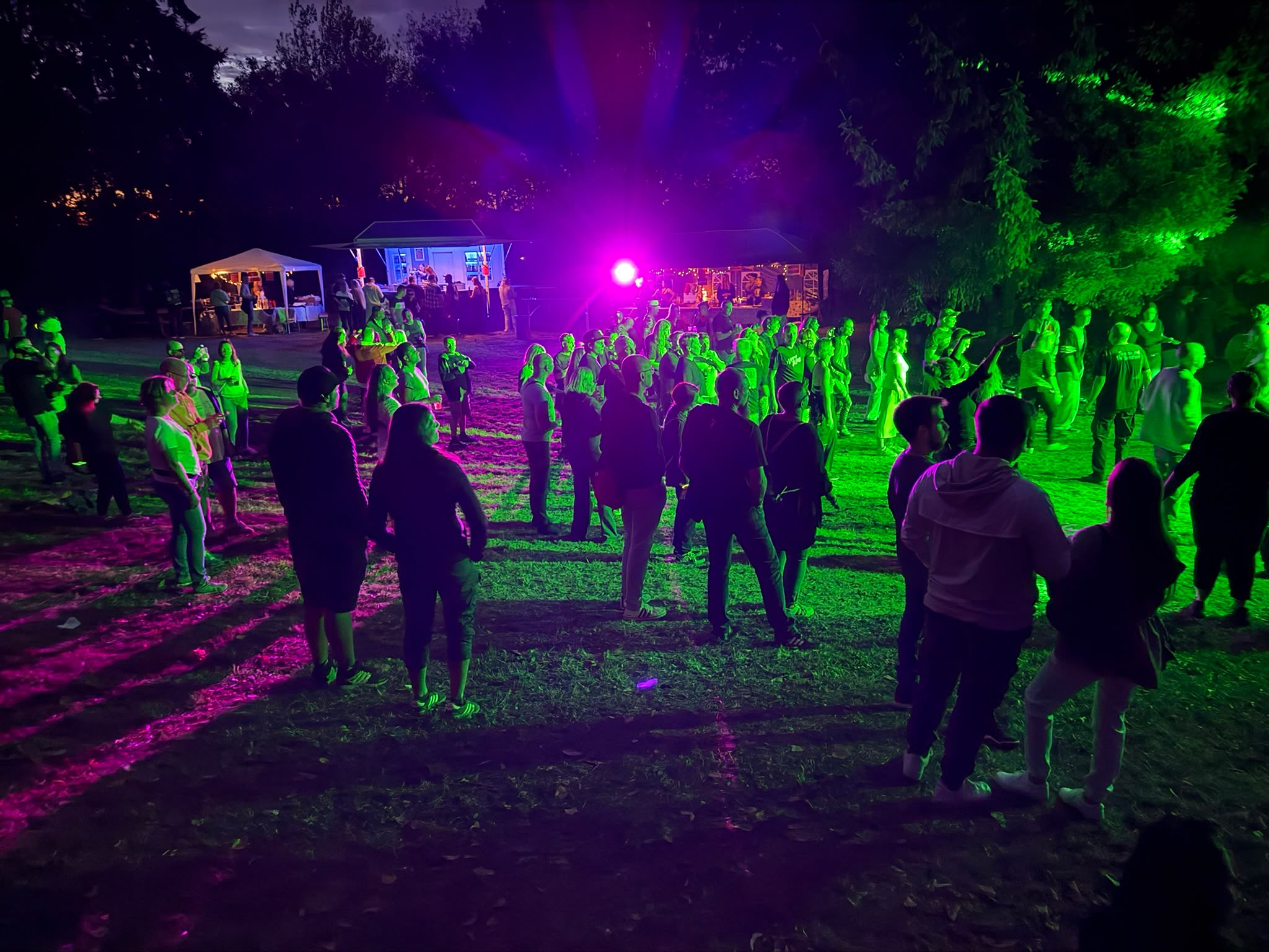 Electronic Waldgeflüster 2026 in Homburg